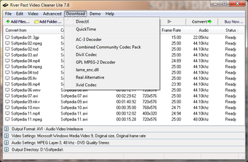 River Past Video Cleaner Lite screenshot 9