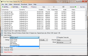 River Past Video Cleaner Pro screenshot 6