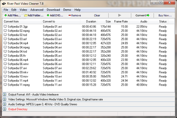 River Past Video Cleaner screenshot