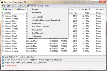River Past Video Cleaner screenshot 4