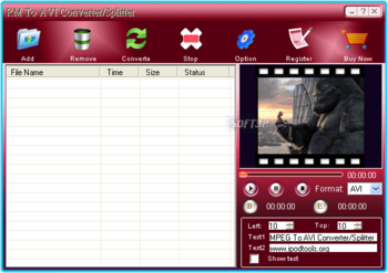 RM To AVI Converter Splitter screenshot