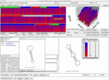 RnallViewer screenshot