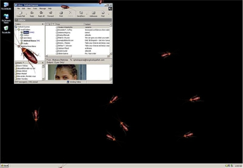 Roaches Screen Saver screenshot