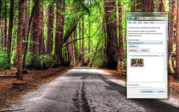 Road Forest screenshot