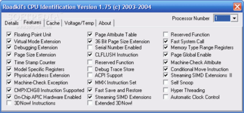Roadkil's CPUID screenshot 2