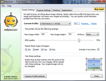 RoboSizer screenshot 2