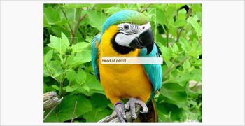 Roboton Web Control Toolkit screenshot