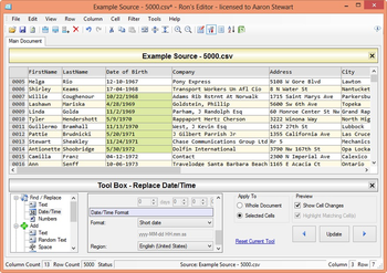 Ron's Editor - Ultimate CSV Editing screenshot