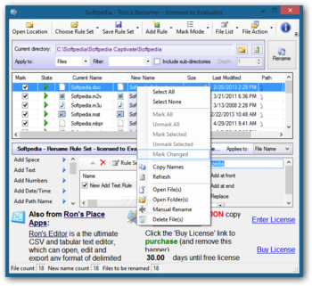 Ron's Renamer screenshot 2