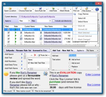 Ron's Renamer screenshot 4