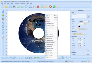 RonyaSoft CD DVD Label Maker screenshot
