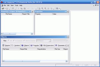 .rpt Inspector Professional Suite (for CR 8.5) screenshot