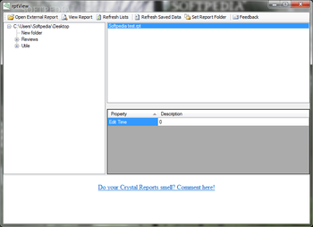 RptView screenshot