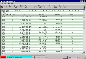 RptView, Report Viewer and Print System screenshot 2