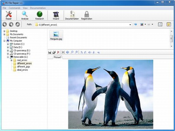 RS File Repair screenshot