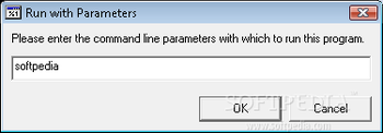 Run with Parameters screenshot