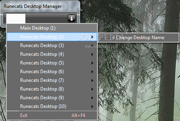 Runecats Desktop Manager screenshot
