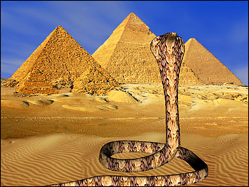 Sacred Egyptian Cobra 3D Screensaver screenshot 2