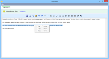 Safe Editor screenshot