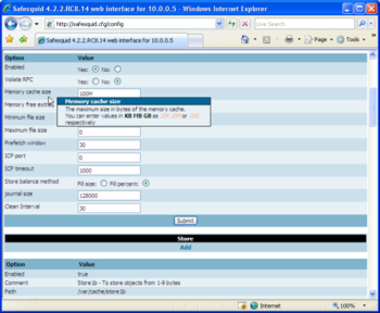 SafeSquid Business Edition screenshot 4