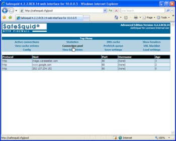 SafeSquid Business Edition screenshot 5