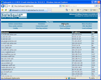 SafeSquid Business Edition screenshot 6