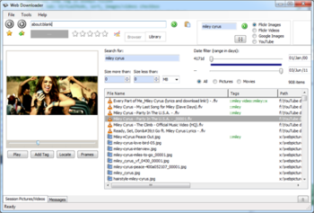 Saleen WebDownloader screenshot