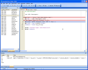 SannySoft Perl Editor screenshot
