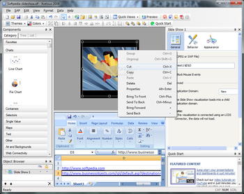 SAP Crystal Reports Dashboard Design screenshot 2
