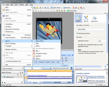 SAP Crystal Reports Dashboard Design screenshot 4