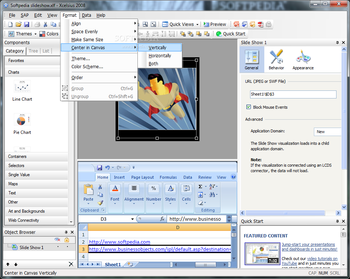 SAP Crystal Reports Dashboard Design screenshot 5