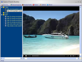 Save Flash Buddy screenshot