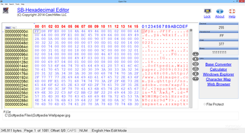 SB-Hexadecimal Editor (formerly HxEdit) screenshot