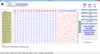 SB-Hexadecimal Editor (formerly HxEdit) screenshot 2