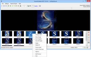 Scenegrabber.NET screenshot 2