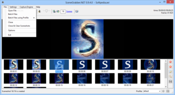 Scenegrabber.NET screenshot 3