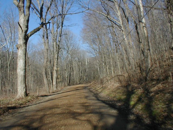Scenic Drive 004 screenshot 3