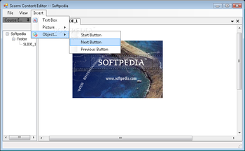 SCORM Content Author screenshot