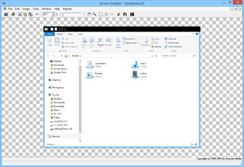 Screen Grabber screenshot