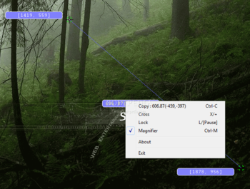 Screen Ruler screenshot