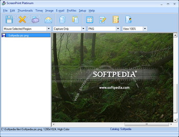 ScreenPrint Platinum screenshot