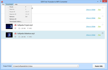 SDR Free Youtube to MP3 Converter screenshot 3