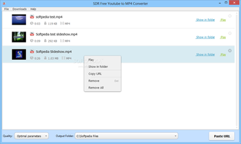 SDR Free Youtube to MP4 Converter screenshot 2