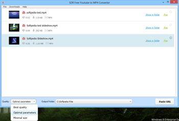SDR Free Youtube to MP4 Converter screenshot 3