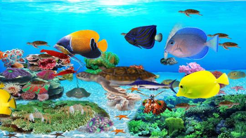 Sea Turtle Aquarium screenshot