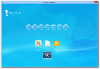 Seahorse (formerly Easy Website Pro) screenshot
