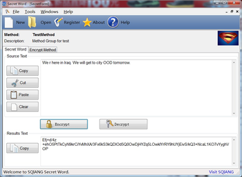 Secret Word screenshot