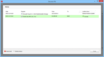 Secunia Personal Software Inspector screenshot 4