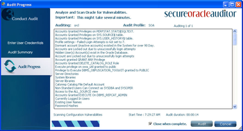 Secure Oracle Auditor screenshot 2