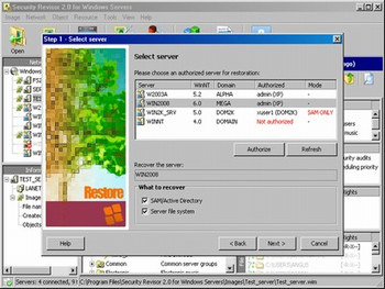 Security Revisor for Windows Servers screenshot